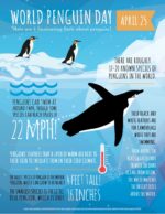 Pengy day!!